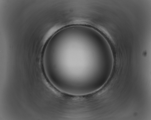 X0000093571277200710151120