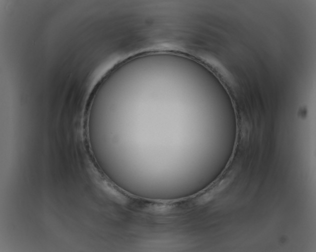 X0000093571278200710151120