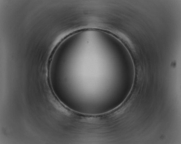 X0000093571280200710151120