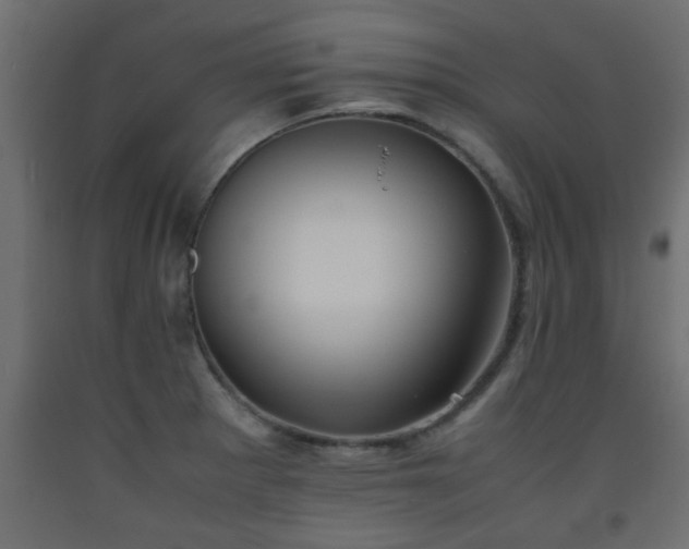 X0000093571281200710151120