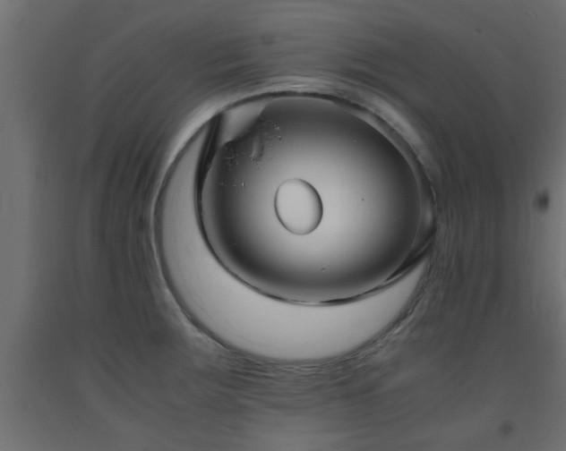 X0000093571283200710151120