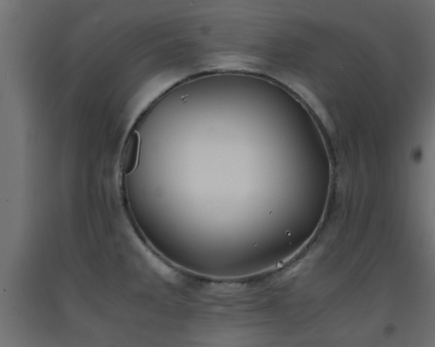 X0000093571285200710151120