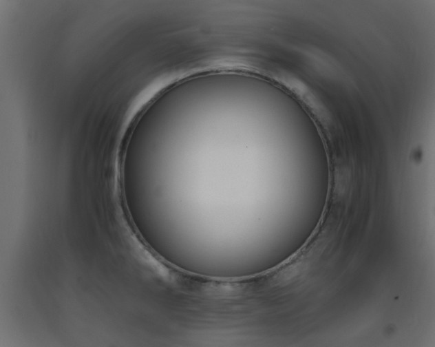 X0000093571286200710151120