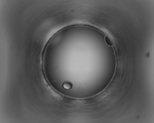 X0000093571287200710151120