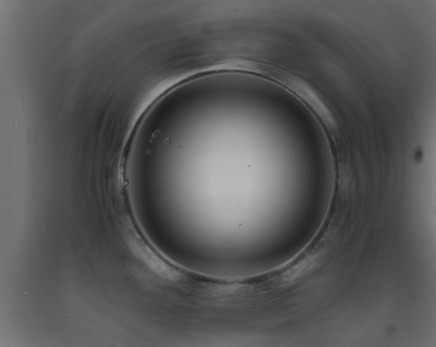 X0000093571292200710151120
