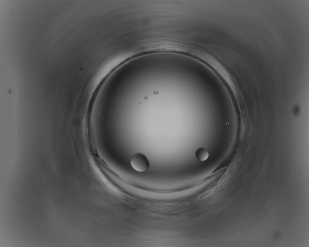 X0000093571293200710151120