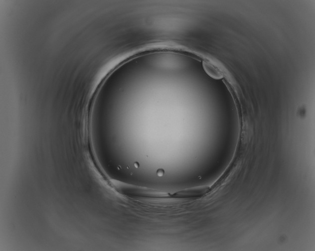 X0000093571295200710151120