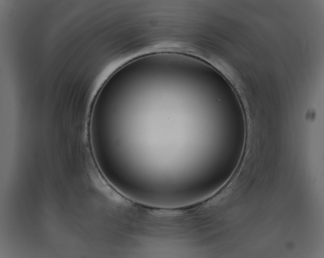 X0000093571296200710151120