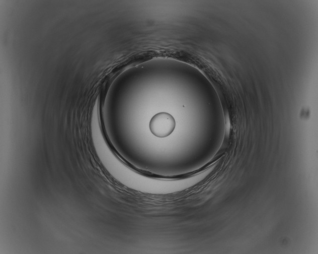 X0000093571298200710151119
