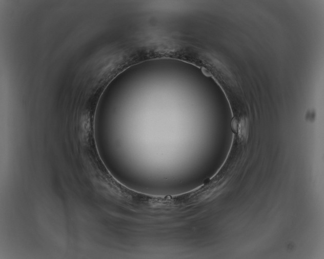 X0000093571299200710151119