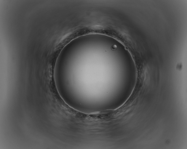 X0000093571301200710151119