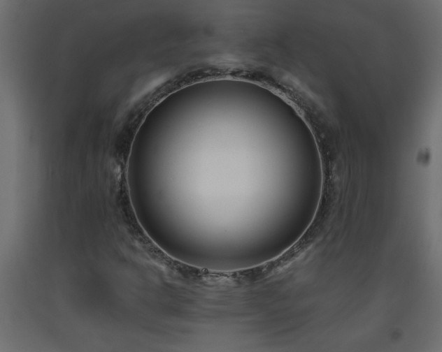 X0000093571302200710151119