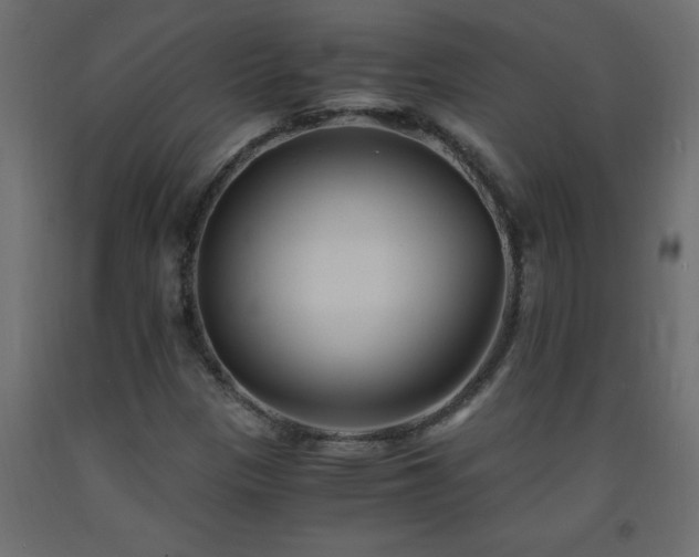 X0000093571305200710151119