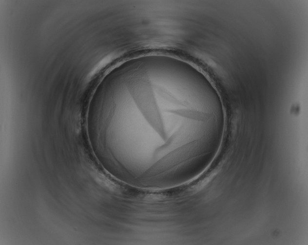X0000093571306200710151119