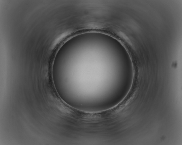 X0000093571307200710151119