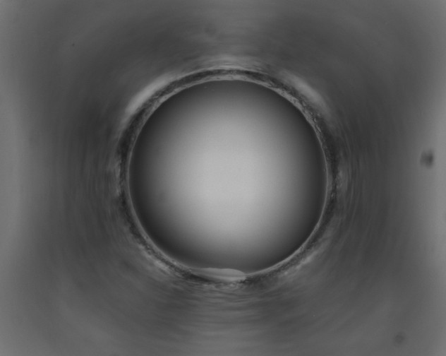 X0000093571310200710151119