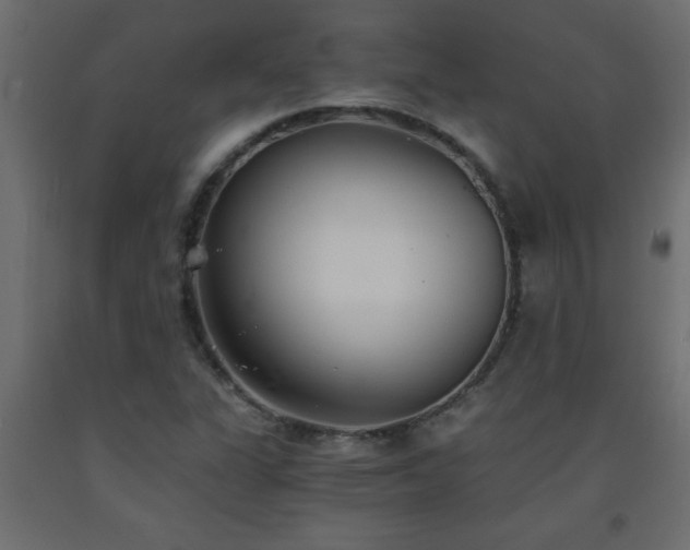 X0000093571311200710151119
