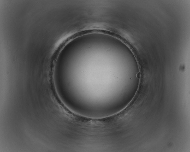X0000093571312200710151119