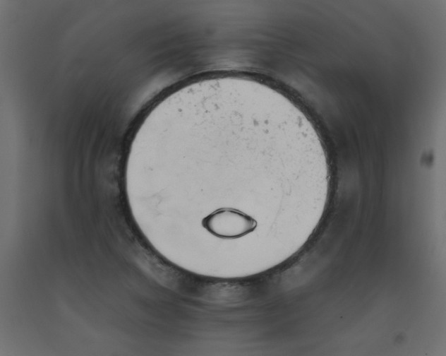 X0000093571314200710151119