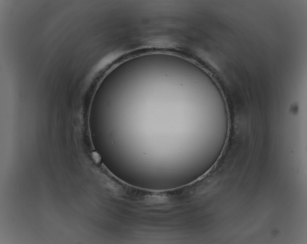 X0000093571315200710151119
