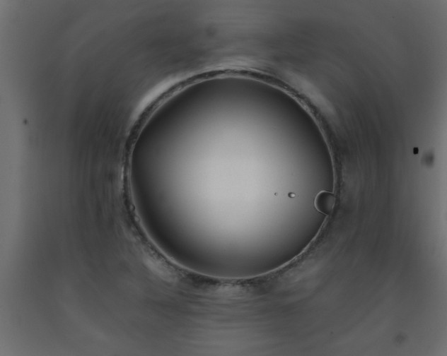 X0000093571316200710151119
