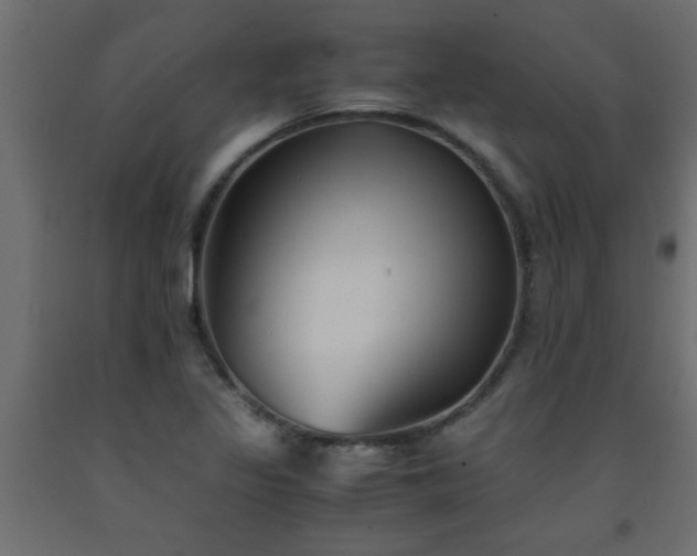 X0000093571317200710151119