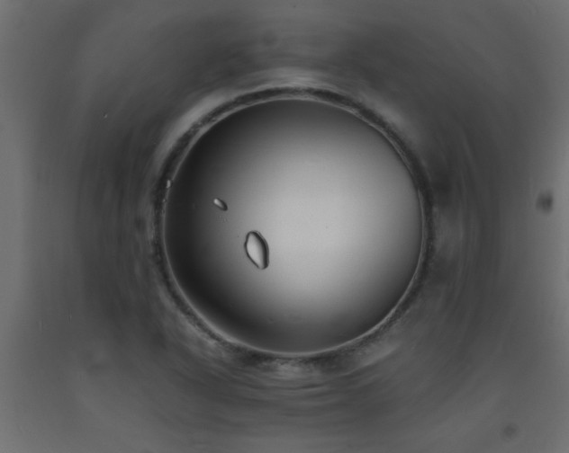 X0000093571318200710151119