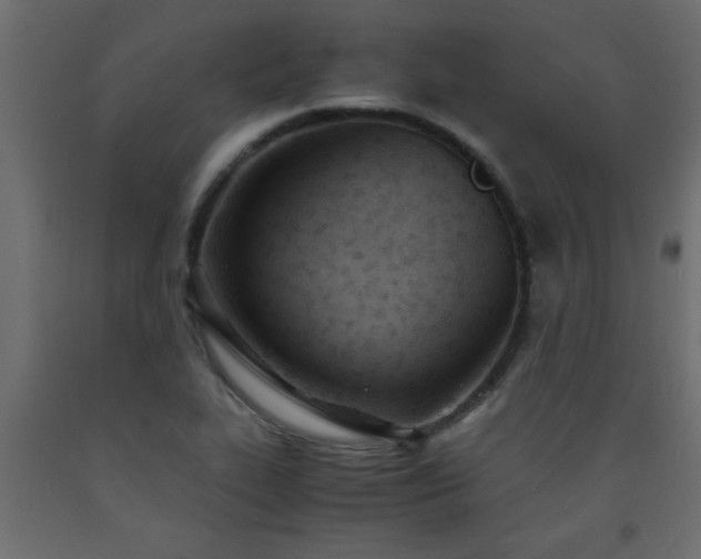 X0000093571319200710151119