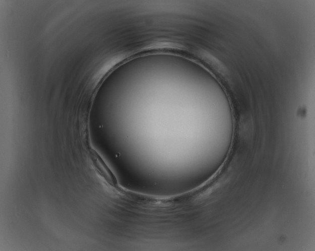 X0000093571321200710151119