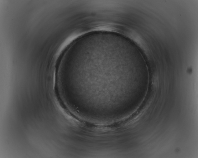 X0000093571323200710151119