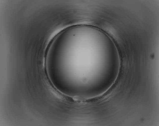 X0000093571324200710151119