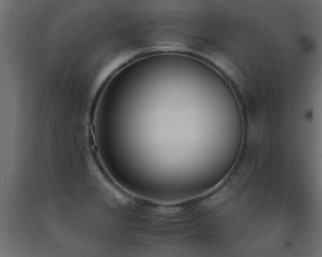 X0000093571325200710151119