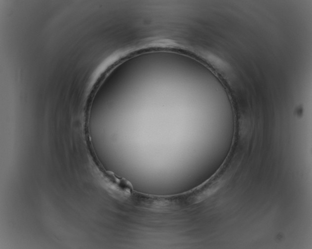 X0000093571326200710151119