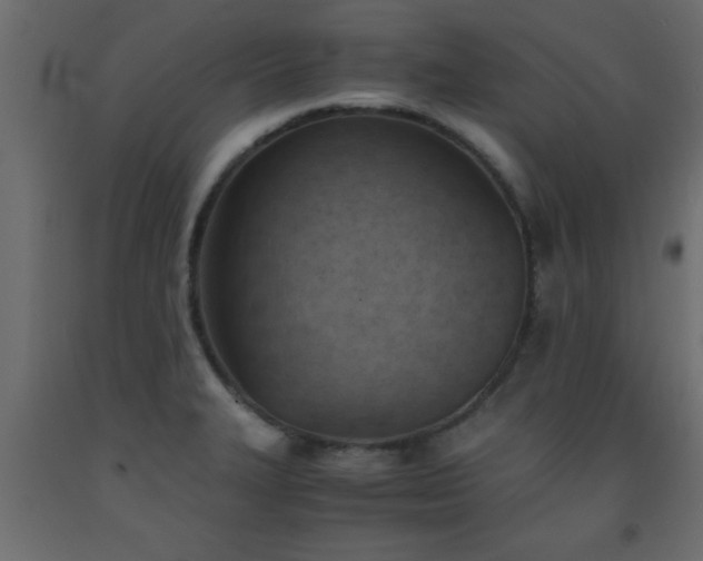 X0000093571327200710151120