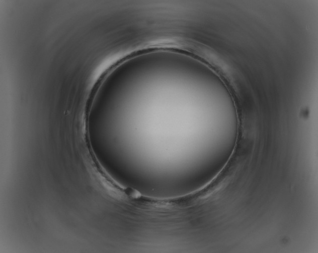 X0000093571328200710151120