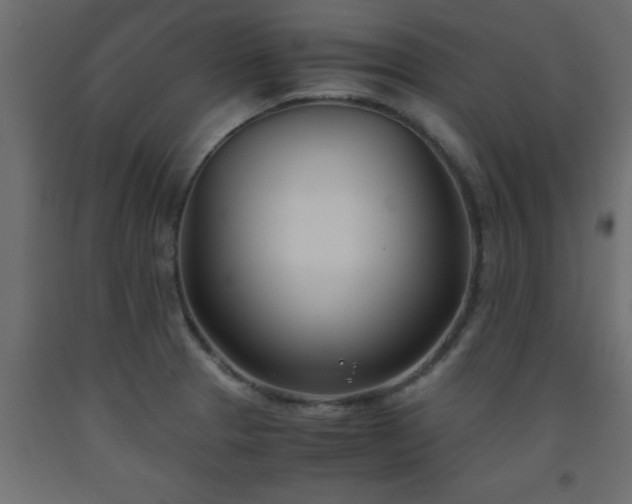 X0000093571329200710151120