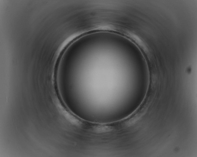 X0000093571331200710151120