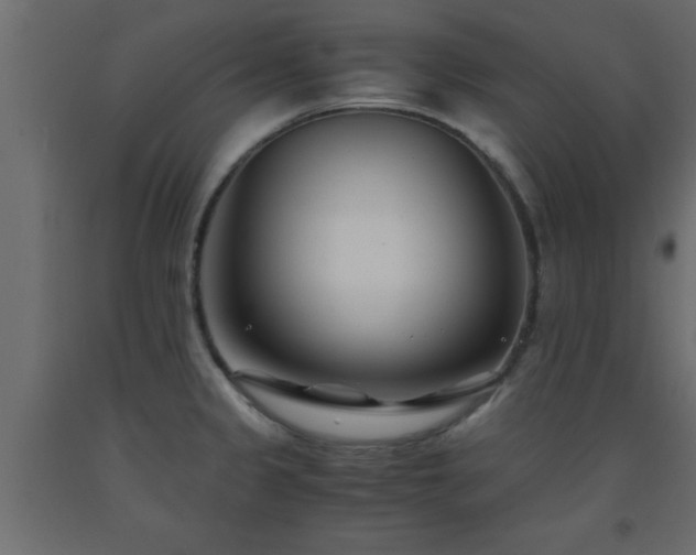 X0000093571333200710151120