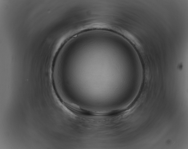 X0000093571334200710151120