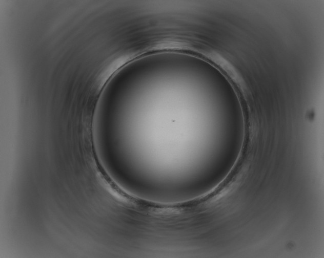 X0000093571337200710151120