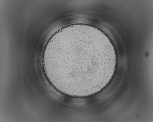 X0000093571338200710151120