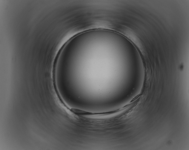 X0000093571339200710151120