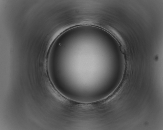 X0000093571340200710151120