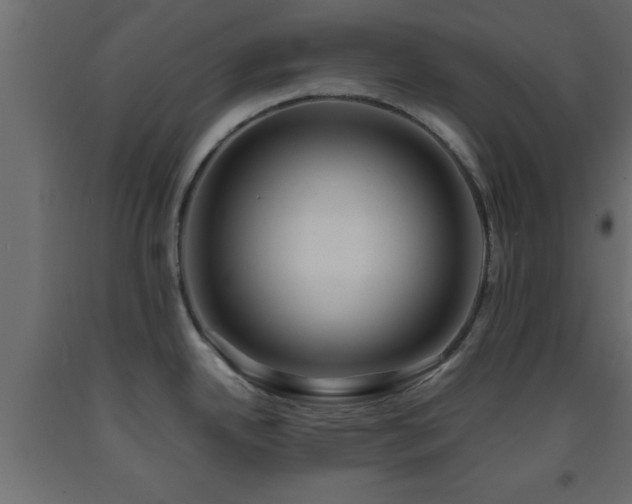 X0000093571342200710151120