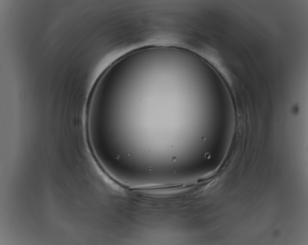 X0000093571343200710151120