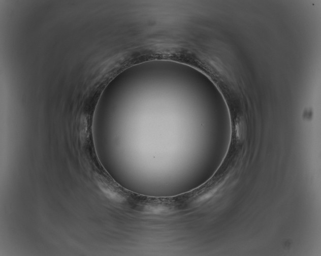 X0000093571347200710151119