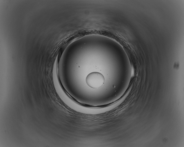 X0000093571348200710151119