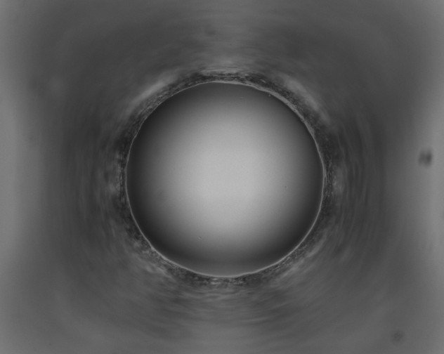 X0000093571350200710151119