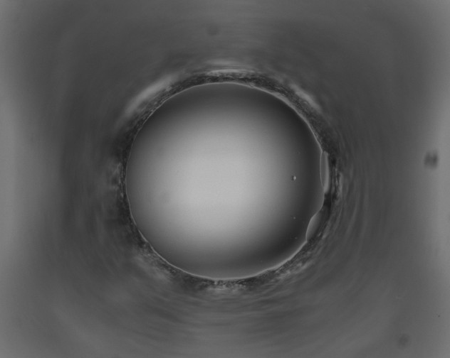 X0000093571351200710151119