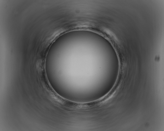 X0000093571353200710151119
